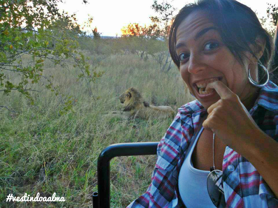 safari na africa do sul, safari, africa do sul, parque nacional kruger, o que fazer na africa do sul, africa do sul o que fazer