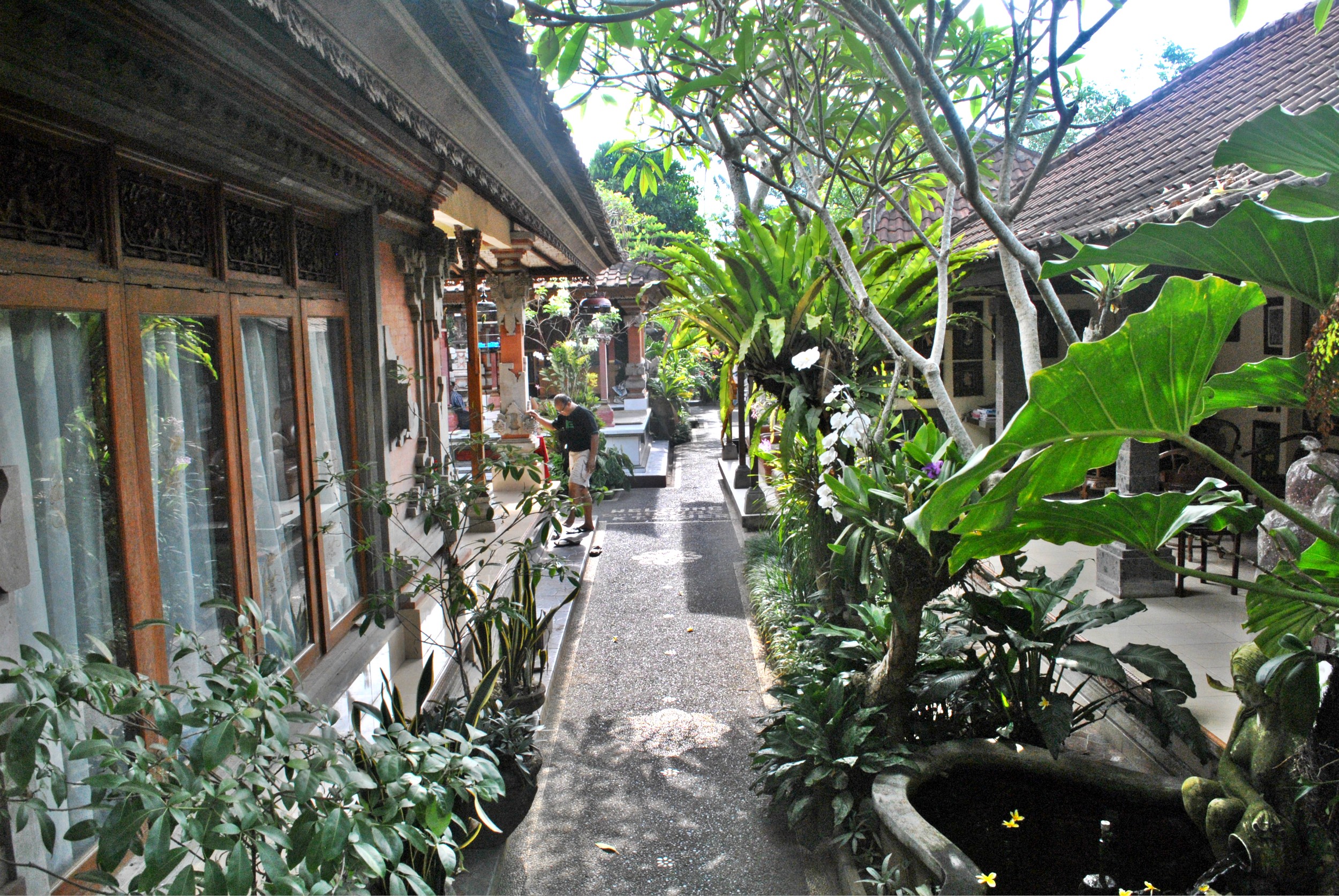 bali, ubud